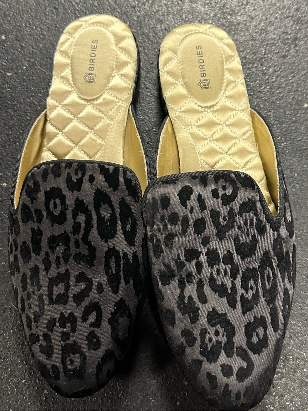 Birdies Black Leopard-Print Velvet Mules with Gold Insole